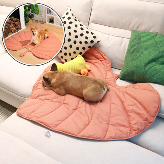 Chien sur canapé avec tapis pour chien feuille jaune