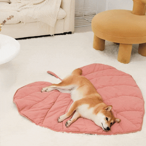 utilisation du Tapis pour chien en forme de feuille rose, verte et jaune sur canapé ou sol