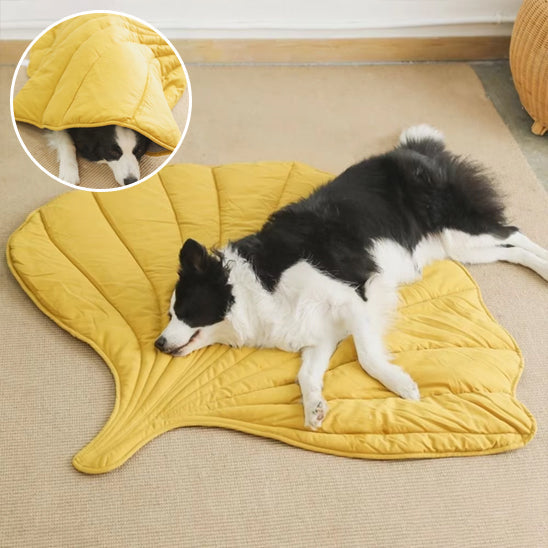 Deux chiens profitent d’un tapis feuille jaune sur tapis blanc