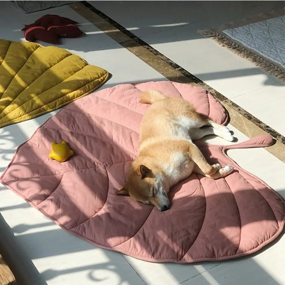 Chien couché sur tapis feuille jaune sur terrasse ensoleillée - Feuille de Truffe™