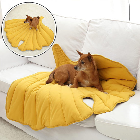 Deux chiens sur feuilles orange et verte sur canapé