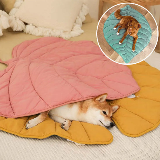 Chien allongé sur plaid en forme de feuille rose