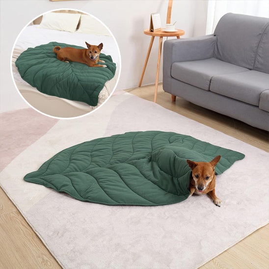 Tapis feuille vert dans un salon moderne avec chien