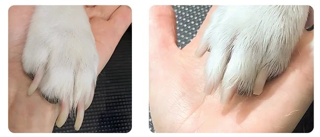 Tondeuse Rechargeable pour Chien & Étanche - Tonte 4 - en - 1 | Chien & Chiot - Noble Truffe